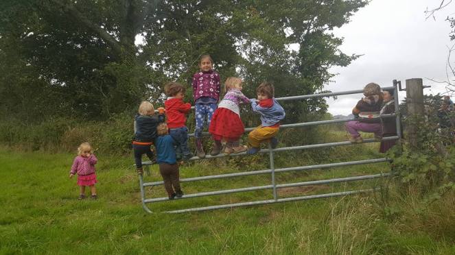 14642234_1803575929855290_1370383362378244883_n